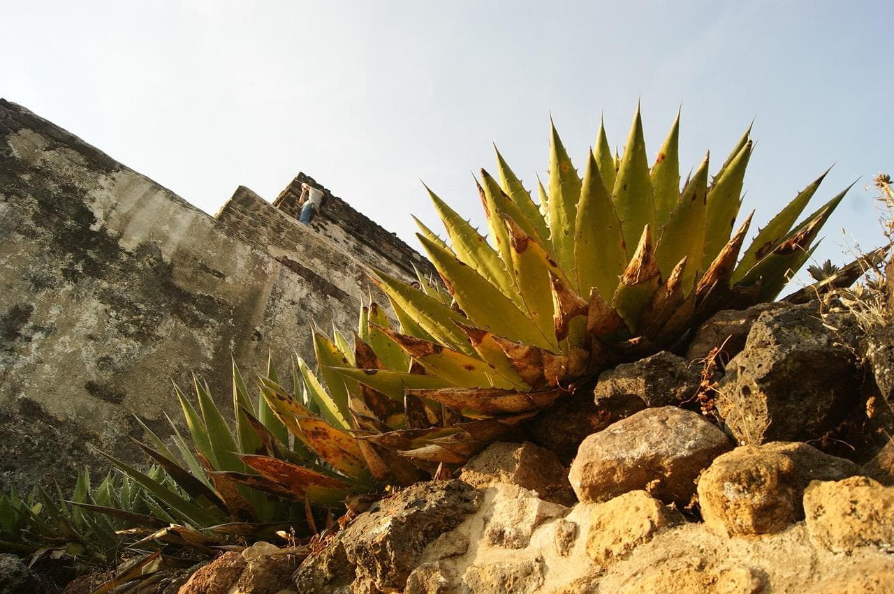 Tepoztlán (foto: PetrohsW)