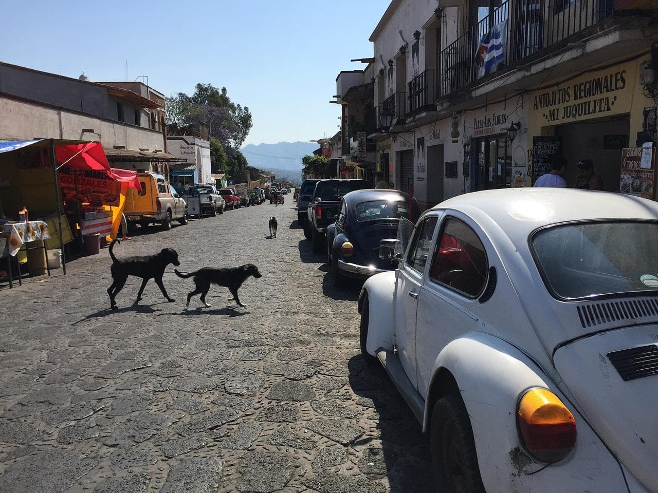 Tepoztlán (foto: Lisahlin)